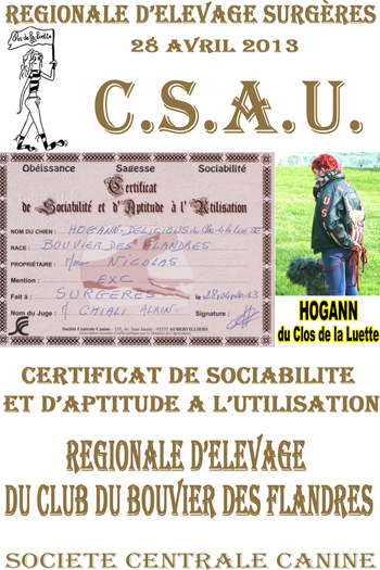 HOGANN du clos de la Luette CSAU ©